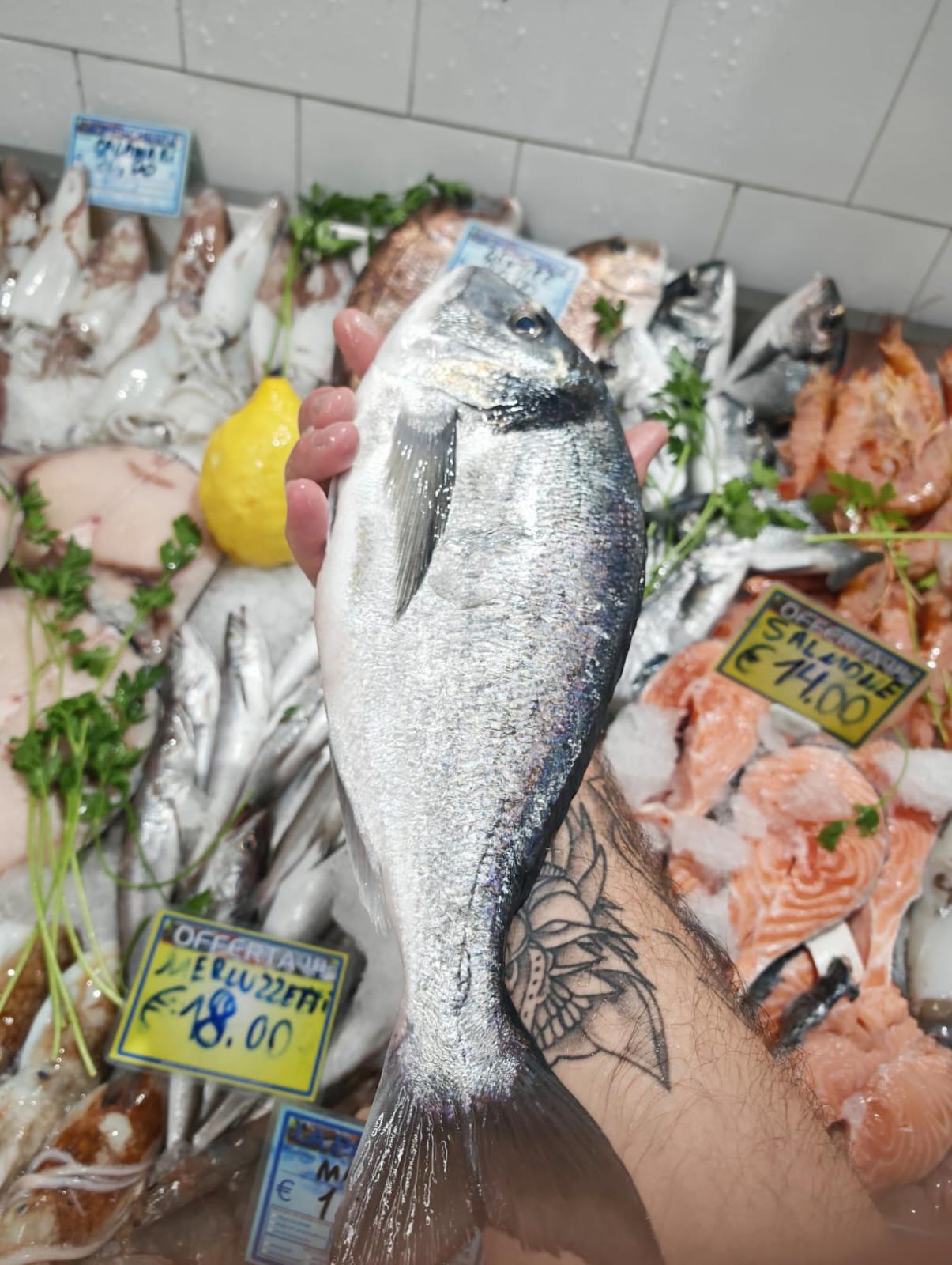 Orata fresca